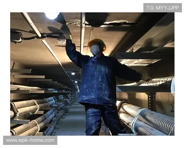 优发国际专业的技术团队，确保平台稳定运行无中断